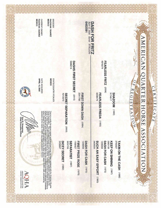 Certificado AQHA