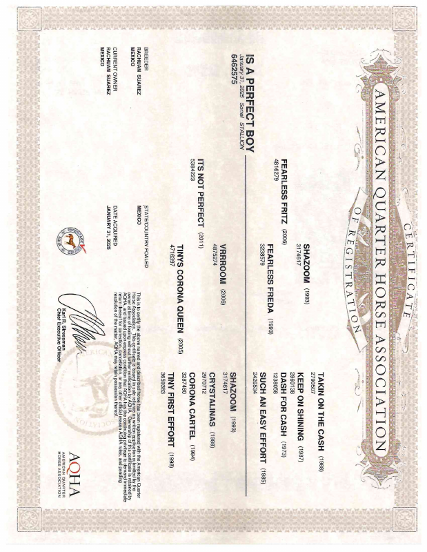 Certificado AQHA