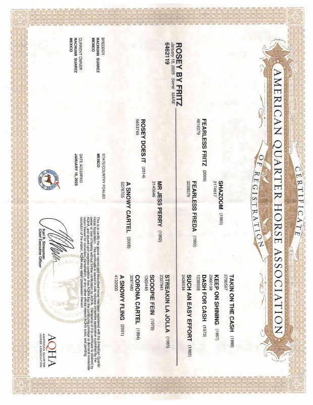 Certificado AQHA