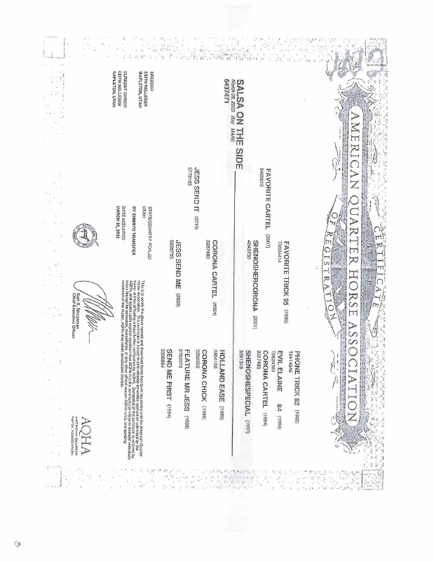 Certif. Salsa On The Side 6437471