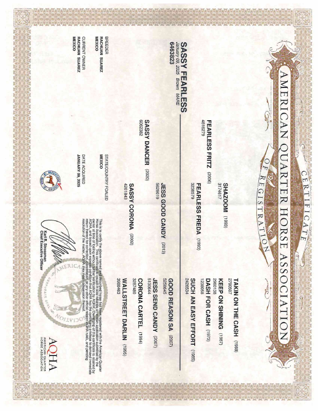 Certificado AQHA