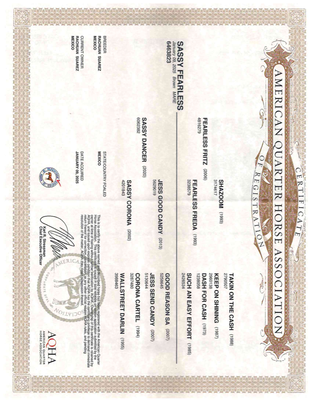 Certificado AQHA